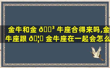 金牛和金 🌳 牛座合得来吗,金牛座跟 🦟 金牛座在一起会怎么样